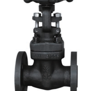 FORGED STEEL GATE VALVE