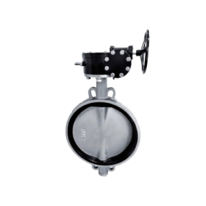 Flange Type Rubber Lined Butterfly Valve