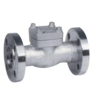 FORGED CHECK VALVE