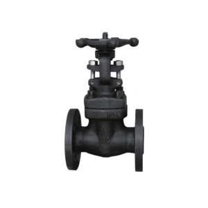 Forged Steel Gate Valve
