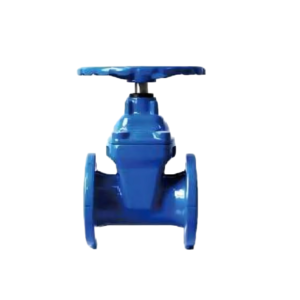 Resilient Seated Gate Valve Flanged Type