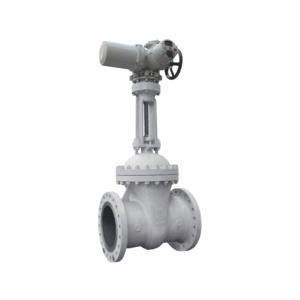 High Performance Electric Gate Valve
