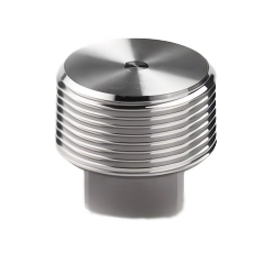 SW & Threaded Forged Plug